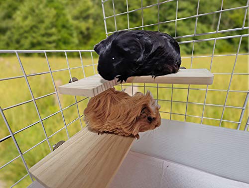 Pack of 2 (L-Shaped & Rectangle) Wood Activity Platforms for Cage Shelves & Wood Perch Ledges for Small Animals Cages and Pets like Hamsters, Mice, Chinchilla, Guinea Pigs, Birds, Rats.