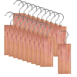 foccts 20 pcs cedar hangers blocks, natural red cedar blocks for clothes storage, cedar hang ups set household protector, aromatic cedar wood hangers
