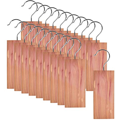 FOCCTS 20 Pcs Cedar Hangers Blocks, Natural Red Cedar Blocks for Clothes Storage, Cedar Hang Ups Set Household Protector, Aromatic Cedar Wood Hangers