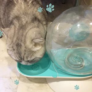 HappyCat Small Pets Water Dispenser Dogs Cats Gravity Waterer Feeder Bowl  Automatic Water Drinking Fountain for Small or Medium Size Dogs Cats (Green Snail)