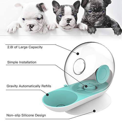 HappyCat Small Pets Water Dispenser Dogs Cats Gravity Waterer Feeder Bowl  Automatic Water Drinking Fountain for Small or Medium Size Dogs Cats (Green Snail)