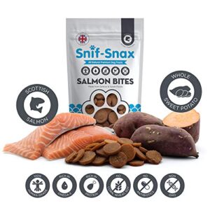 Snif-Snax™ Human Grade Dog Treats - All-Natural Smoked Salmon & Sweet Potato Bites, 4oz