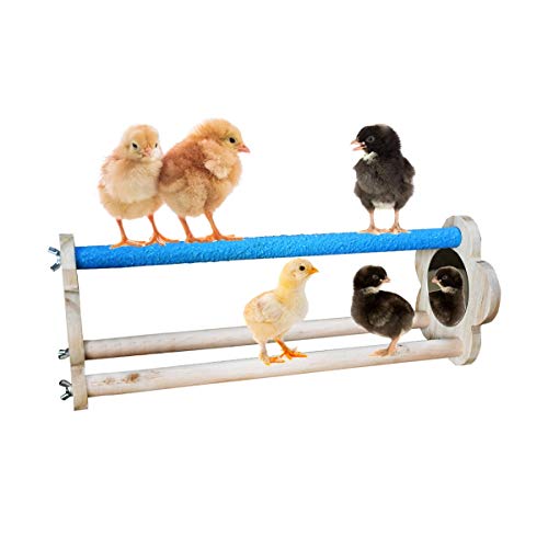 Chicken Perch for Chicks Chicken Wood Stand with Mirrors Chick Stand Trainning Perch Toy Chicken Swing Chicken Toy for Hens