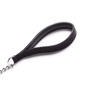 Petiry Chain Leash Metal Dog Leash Chrome Plated with Soft Padded Handle for Small Dogs/Black
