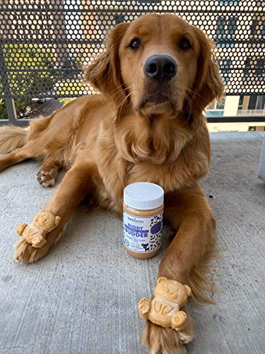 BUDDY BUDDER Bark Bistro Company, Superberry Snoot + Barkin Banana + Pumpkin Pup, 100% Natural Dog Peanut Butter, Healthy Dog Treats - Made in USA (Set of 3 / 17oz)