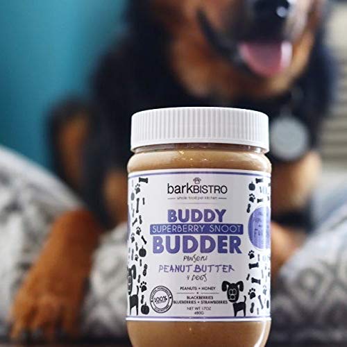 BUDDY BUDDER Bark Bistro Company, Superberry Snoot + Barkin Banana + Pumpkin Pup, 100% Natural Dog Peanut Butter, Healthy Dog Treats - Made in USA (Set of 3 / 17oz)