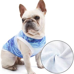 Hotumn Dog Cooling Vest Instant Cooling Dog Clothes Breathable Walking Dog Costume Dog Shirts Summer Tank Top Ice Vest for Small Dogs Cats Walking Exercise Hiking