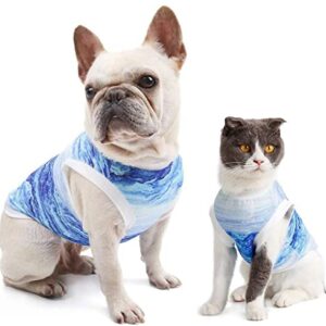 Hotumn Dog Cooling Vest Instant Cooling Dog Clothes Breathable Walking Dog Costume Dog Shirts Summer Tank Top Ice Vest for Small Dogs Cats Walking Exercise Hiking