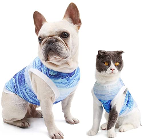 Hotumn Dog Cooling Vest Instant Cooling Dog Clothes Breathable Walking Dog Costume Dog Shirts Summer Tank Top Ice Vest for Small Dogs Cats Walking Exercise Hiking