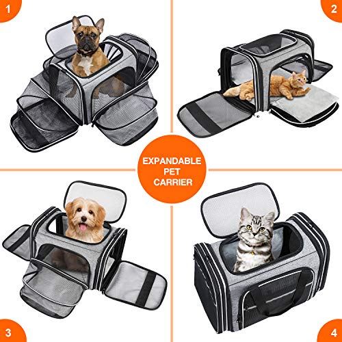 MASKEYON TSA Airline Approved Soft Sided Pet Carrier Top Loading 4 Side Expandable Large Travel Cats Carrier Collapsible with 3 Removable Washable Pads and 3 Pockets for Cats Kitten and Small Dogs