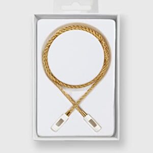 Tapper 18K Gold Plated Rope Chain for AirPods & AirPods Pro