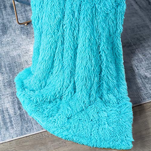 Andecor Soft Fluffy Faux Fur Throw Blanket - 50 x 60 Inches Plush Lightweight Warm Shaggy Fleece Blankets for Bed Couch Sofa Chair Home Decorative, Teal Blue