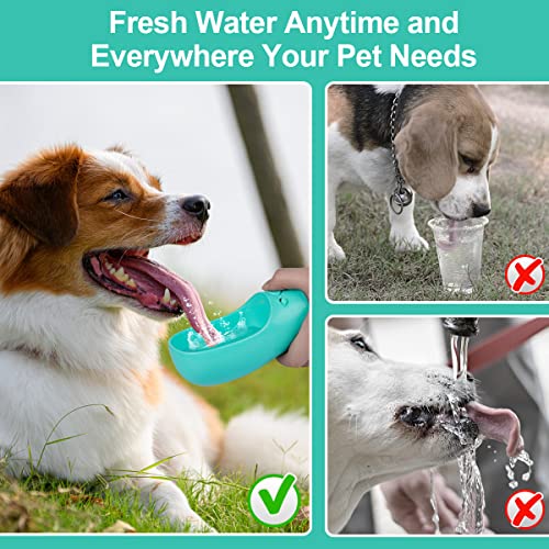 Yicostar Dog Water Bottle, Leak Proof Portable Dog Water Bottle for Walking Dog Water Dispenser with Drinking Feeder for Pets Outdoor, Travel, Hiking Food Grade Plastic(19oz, Blue)