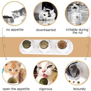 WoLover Catnip Wall Ball Toys – Rotatable Cat Snack Edible Balls with Natural Healthy Catnip | Silvervine | Gall Nut, Kitten Playing Chewing Cleaning Teeth Toy