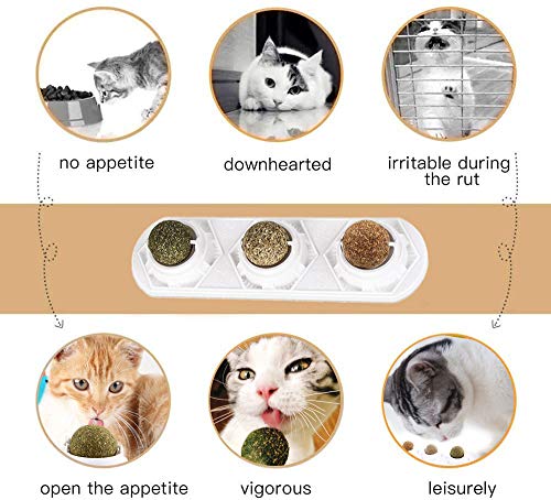 WoLover Catnip Wall Ball Toys – Rotatable Cat Snack Edible Balls with Natural Healthy Catnip | Silvervine | Gall Nut, Kitten Playing Chewing Cleaning Teeth Toy