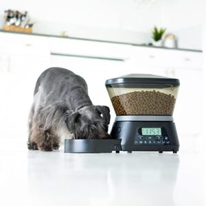 Gamma2 Nano Automatic Dog Feeder & Cat Feeder | 7.5lb Cat Food or Dog Food Storage Capacity