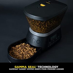 Gamma2 Nano Automatic Dog Feeder & Cat Feeder | 7.5lb Cat Food or Dog Food Storage Capacity