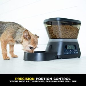 Gamma2 Nano Automatic Dog Feeder & Cat Feeder | 7.5lb Cat Food or Dog Food Storage Capacity