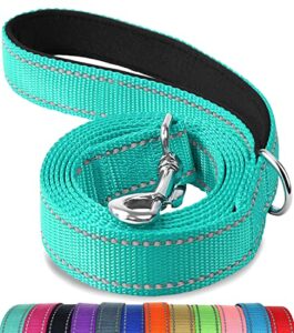 joytale double-sided reflective dog leash, 6 ft/5 ft/4 ft, padded handle nylon dogs leashes for medium & large dogs walking, teal, 6ft