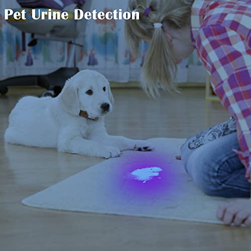 Beike UV Flashlight Black Light, Powerful Small Blacklight Flashlight UV Light, 12 LED Mini Black Light Flashlight, Pet Urine Detector Light for Pet Urine Detection (Dog Cat), Scorpion, Resin Curing