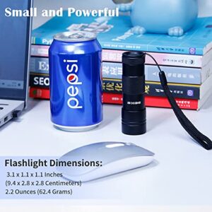 Beike UV Flashlight Black Light, Powerful Small Blacklight Flashlight UV Light, 12 LED Mini Black Light Flashlight, Pet Urine Detector Light for Pet Urine Detection (Dog Cat), Scorpion, Resin Curing