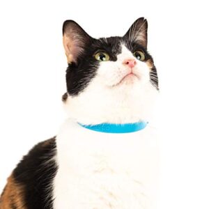 Nuvuq Comfortable, Soft and Light Cat Collar with Breakaway Snap Button (Blueberry Blue)