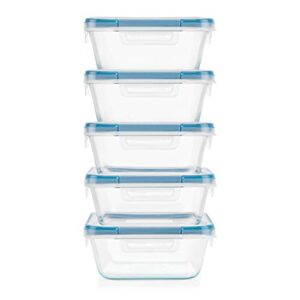 Snapware Total Solution 10-Pc Glass Food Storage Containers Set with Plastic Lids, 4-Cup Meal Prep Container, Non-Toxic, BPA-Free Lids with 4 Locking Tabs, Microwave, Dishwasher, and Freezer Safe