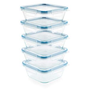 Snapware Total Solution 10-Pc Glass Food Storage Containers Set with Plastic Lids, 4-Cup Meal Prep Container, Non-Toxic, BPA-Free Lids with 4 Locking Tabs, Microwave, Dishwasher, and Freezer Safe