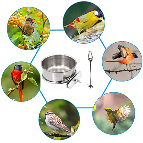 Hamiledyi Parrot Feeding Cup,Bird Food Dish Stainless Steel Bird Cage Feeding Bowls with clamp Holder-for Parrot Macaw African Gray Parakeet Canary Cockatie Conure(3 Pcs)