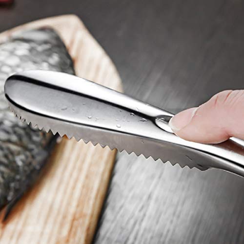 Fish Scaler Remover, Fish Scaler Scraper Stainless Steel Cleaning Brush Easily Remove Fish Scale Tool