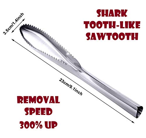 Fish Scaler Remover, Fish Scaler Scraper Stainless Steel Cleaning Brush Easily Remove Fish Scale Tool