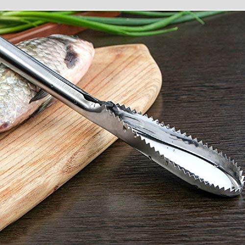 Fish Scaler Remover, Fish Scaler Scraper Stainless Steel Cleaning Brush Easily Remove Fish Scale Tool