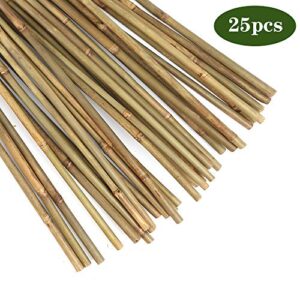 Pllieay 25 Pieces Bamboo Stakes Garden Stakes for Indoor and Outdoor Gardening Plant Supports, 2 Feet