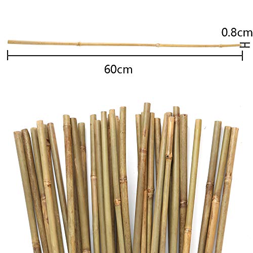 Pllieay 25 Pieces Bamboo Stakes Garden Stakes for Indoor and Outdoor Gardening Plant Supports, 2 Feet