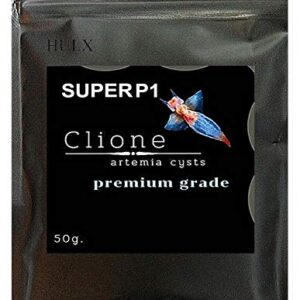 Clione SuperP1 50 g. (Premium Grade) Artemia Cysts Brine Shrimp Eggs Fish Food 95% Plus Hatch Rate in 24-32 Hour, Fresh Stock Tested, for All Tropical Fish Goldfish KOI Baby Fry Fish Guppy Betta Fish