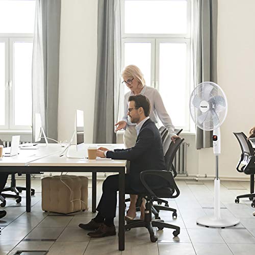 PELONIS 16" Oscillating Pedestal Fan | Standing Adjustable Fan | Ultra Quiet DC Motor | Remote Control | 3 Modes | 12-Hour Timer | High Energy Efficiency | for Bedroom Home Office