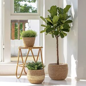 LA JOLIE MUSE Natural Seagrass Large Planter, Plant Pots Cover, Indoor Planters Flower Pots, 13.5+12+9 inch Pack 3