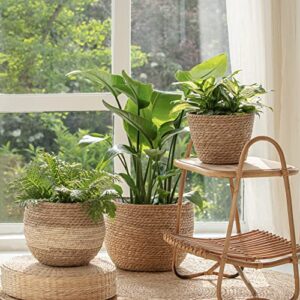 LA JOLIE MUSE Natural Seagrass Large Planter, Plant Pots Cover, Indoor Planters Flower Pots, 13.5+12+9 inch Pack 3