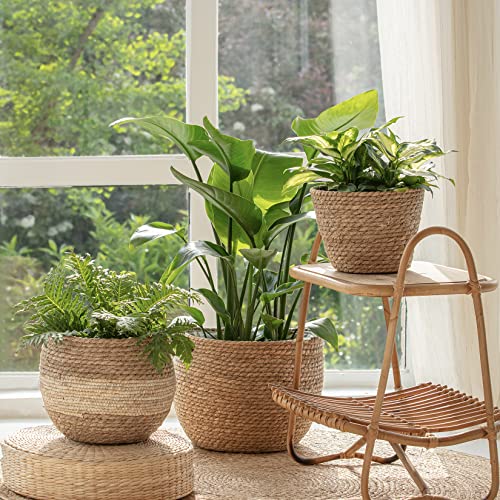 LA JOLIE MUSE Natural Seagrass Large Planter, Plant Pots Cover, Indoor Planters Flower Pots, 13.5+12+9 inch Pack 3