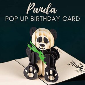 Panda Pop Up Card by DEVINE Popup Cards | Pop Up Birthday Cards for Women Mom Wife | Funny 3D Pop Up Greeting Cards | Love Mother Kids Son Daughter