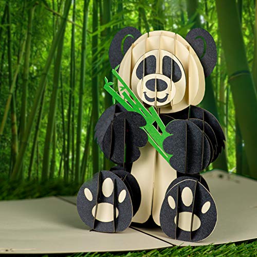 Panda Pop Up Card by DEVINE Popup Cards | Pop Up Birthday Cards for Women Mom Wife | Funny 3D Pop Up Greeting Cards | Love Mother Kids Son Daughter