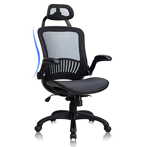 Home Office Chair Ergonomic Desk Chair High Back Computer Chair with Lumbar Support Flip-up Arms Headrest Adjustable Rolling Swivel Mesh Executive Chair for Women Men Adult, Black