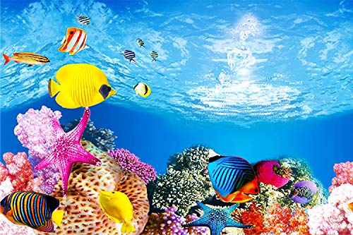 Amalong New seafloor, Marine Fish Background Aquarium Background Decoration 25 x 15 (inches)