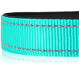 Joytale Reflective Dog Collar,Soft Neoprene Padded Breathable Nylon Pet Collar Adjustable for Large Dogs,Teal,L