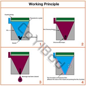 CoYlBod Sublimation Printers Printhead Cleaning Kit Compatible for Epson WF-7210 WF-7110 WF- 7720 WF-7710 WF-7620 WF-7520 WF-2510 WF-2520 XP-310 XP-314 XP-410 XP-420 XP-424 XP-434 100ml Nozzle Cleaner