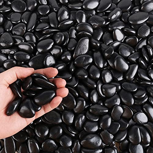 Black Pebbles for Plants 3lb Bulk Bag 1"- 1.5" Aquarium Gravel Decorative Polished Stone Natural River Rocks for Fish Tank…