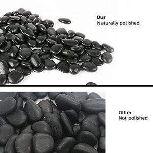 Black Pebbles for Plants 3lb Bulk Bag 1"- 1.5" Aquarium Gravel Decorative Polished Stone Natural River Rocks for Fish Tank…