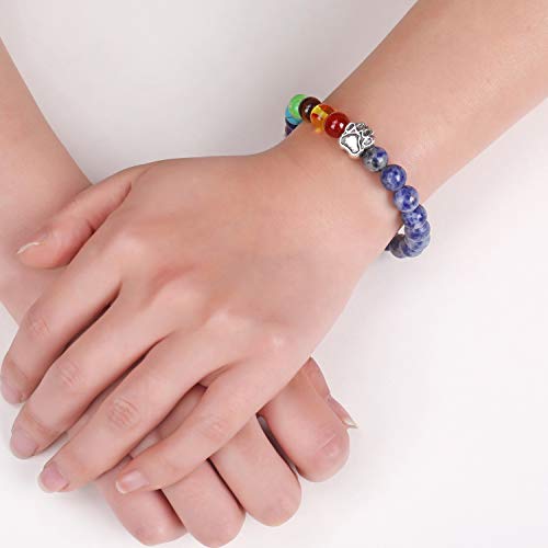 Pet Memorial Gifts,Rainbow Bridge Bracelet for Beloved Dog Cat,8MM Mixed Color Bead 7 Chakra Pet Memorial Bracelet for Women Men Who Loss of Pets,Pet Sympathy Gift