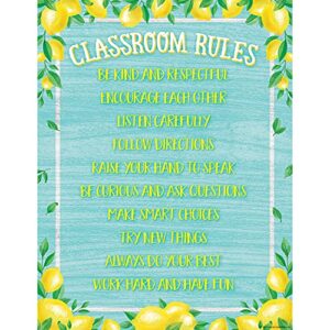 teacher created resources lemon zest classroom rules chart