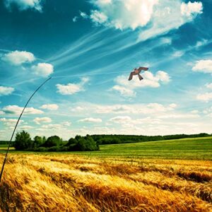 eyijklzo Bird Scarer Flying Kite Crops Farm Flying Bird Hawk Flying Kite with 4m Telescopic Pole